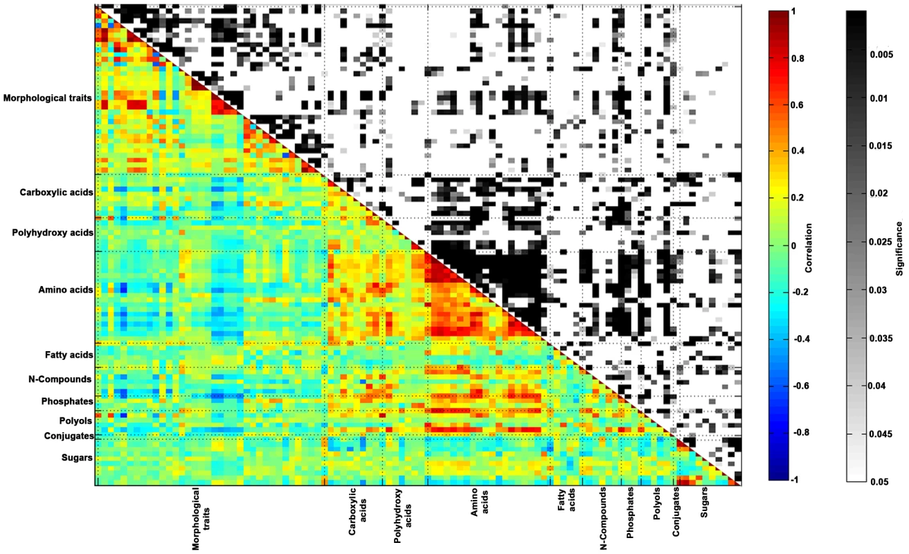 Morphological traits—metabolite correlation/significance.
