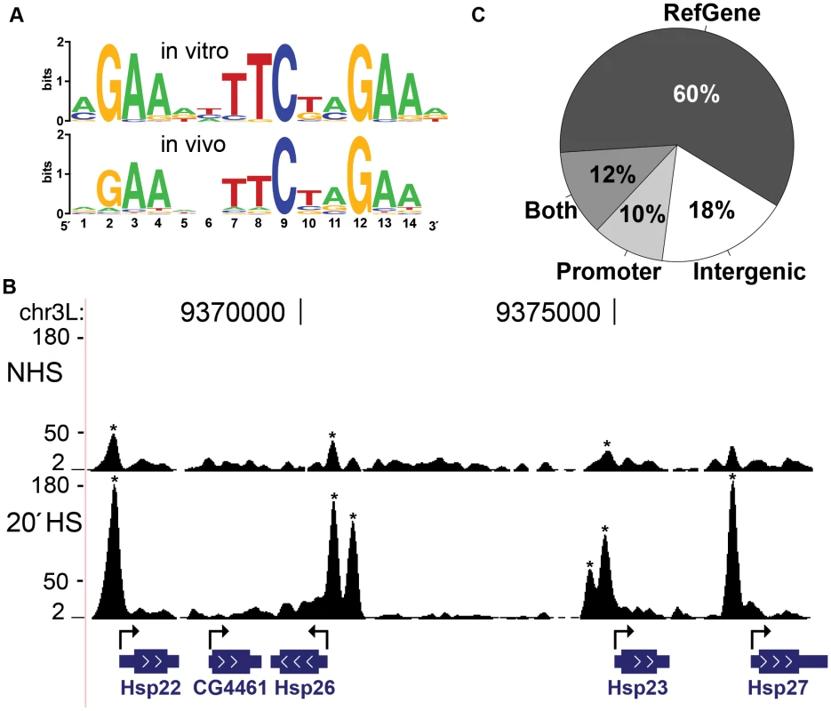 Characterization of HSF binding sites.