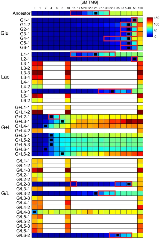 Inducer response profiles of evolved clones.