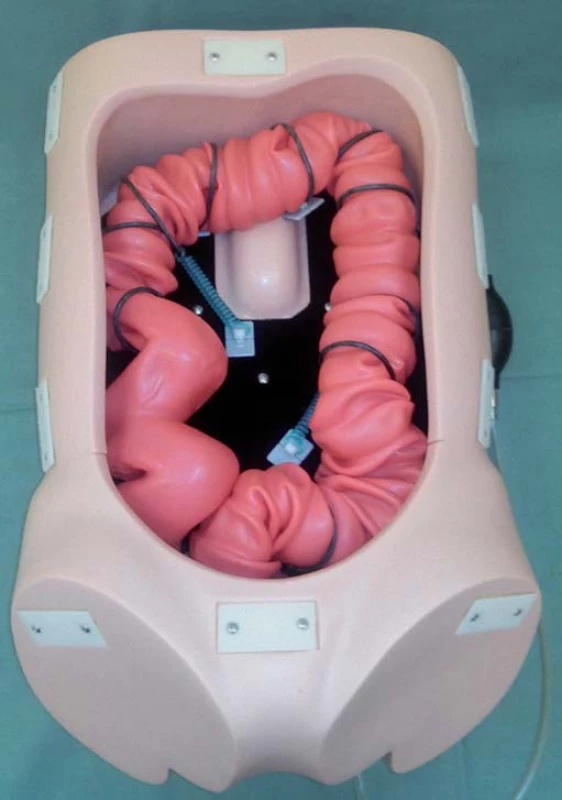 Mechanický model k nácviku koloskopie M40, Kyoto Kagaku.
Fig. 1. Colonoscope Training Model M40, Kyoto Kagaku.
