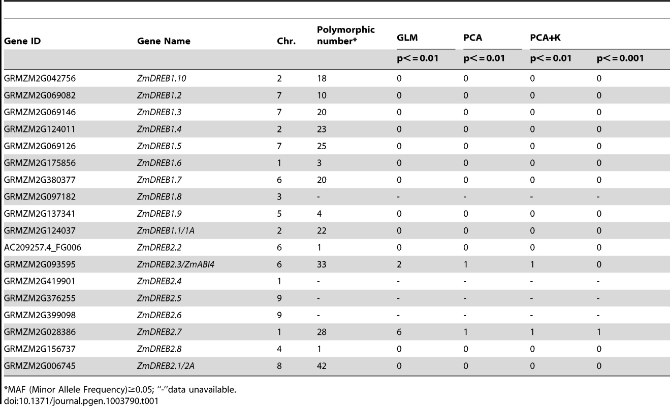 Association analysis of natural variation in <i>ZmDREB</i> genes with drought tolerance at seedling stage in the maize diversity panel.
