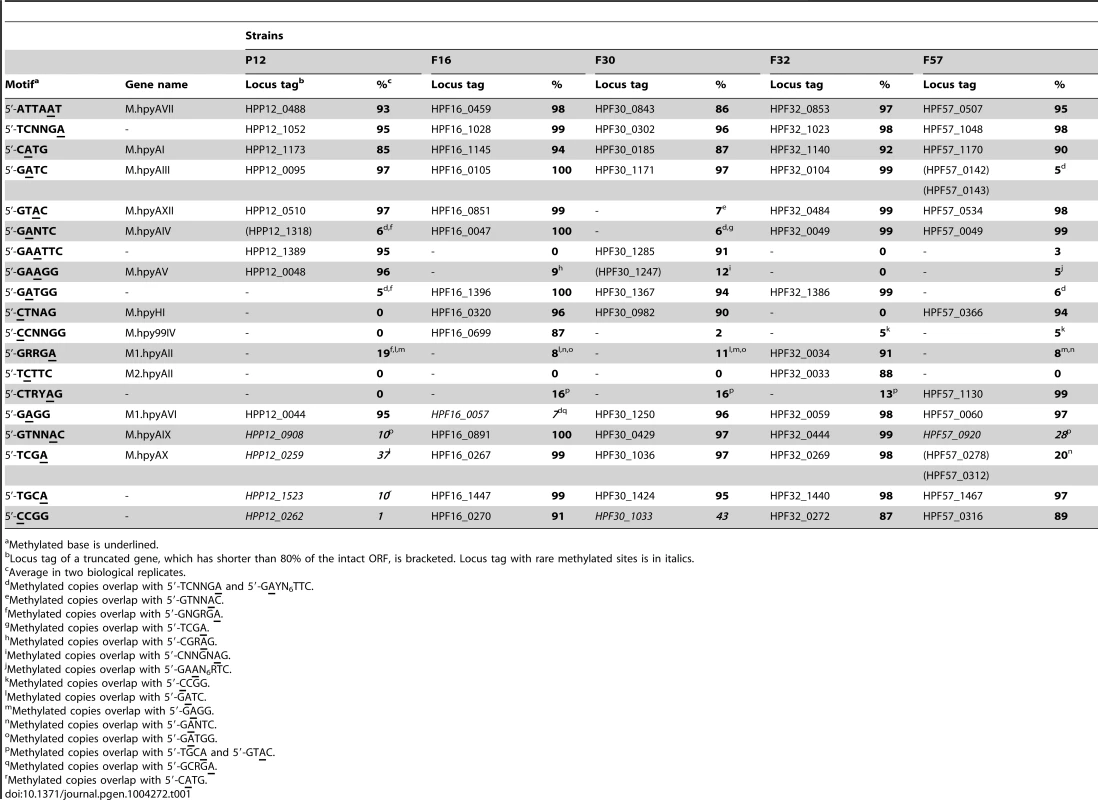 Fraction of methylated copies along a genome for each known Type II methyltransferase (M) genes.
