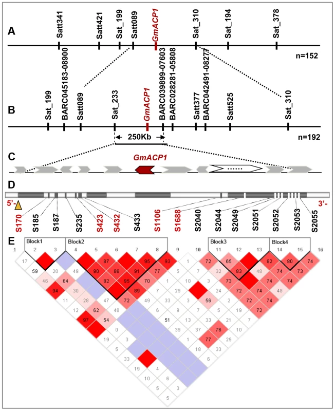 Fine mapping and positional cloning of <i>GmACP1</i>.
