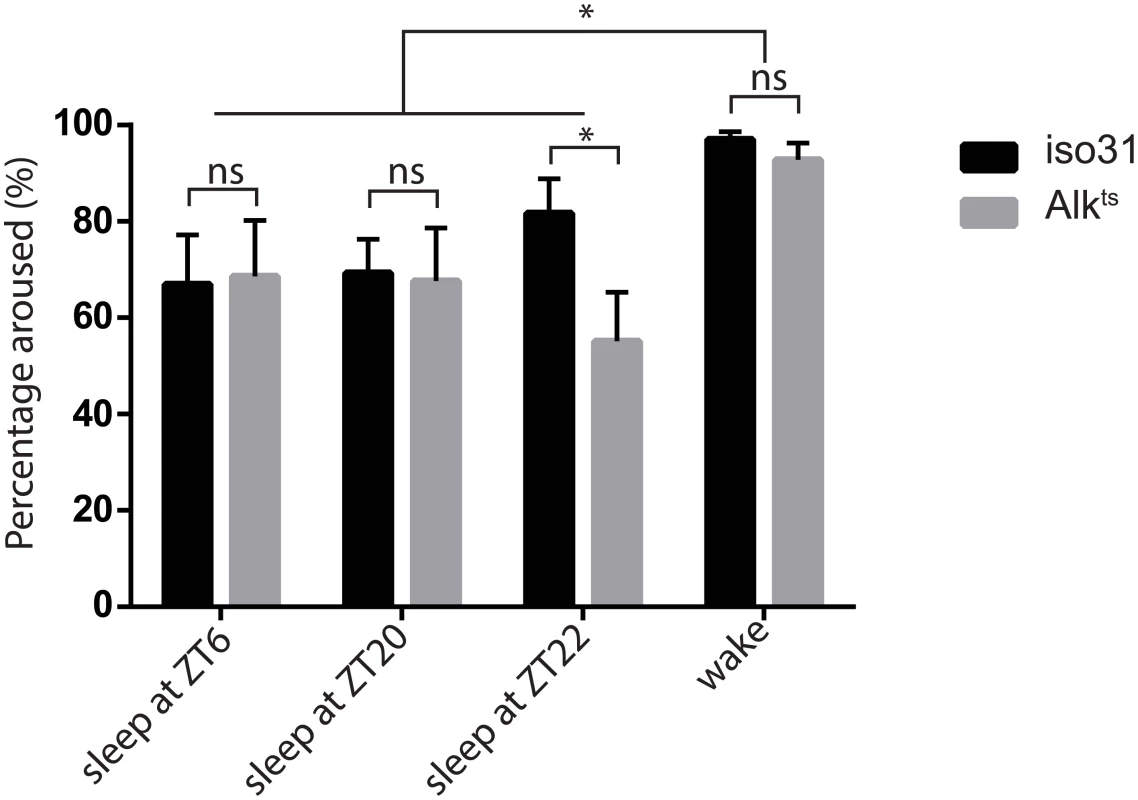 Inactivity of <i>Alk</i><sup><i>ts</i></sup> mutants is due to a prolonged sleep state.