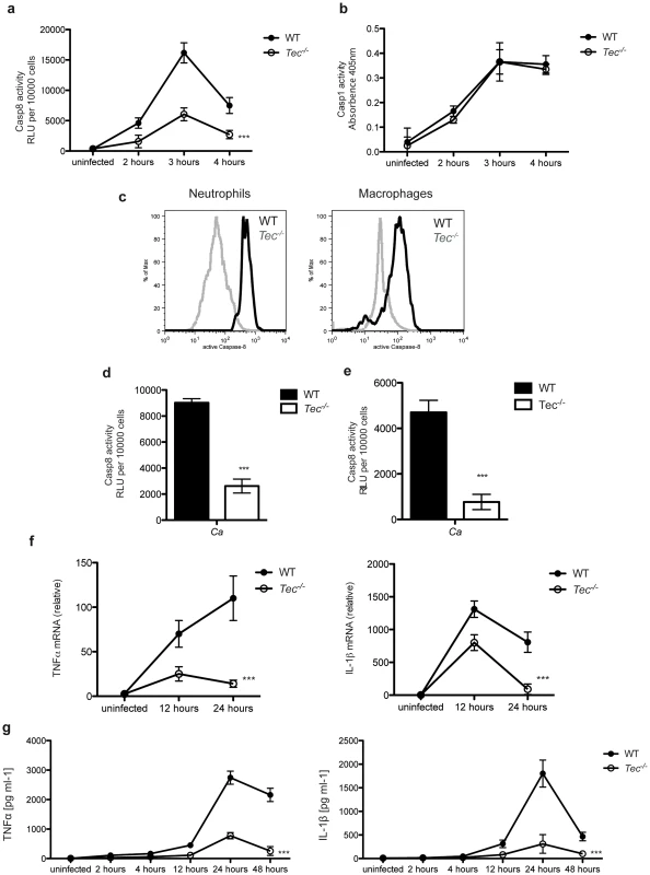 Tec regulates fungal virulence <i>in vivo</i>.