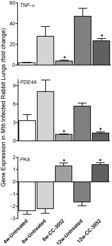 qRT-PCR of rabbit genes that are directly related to the mode of action of CC-3052.
