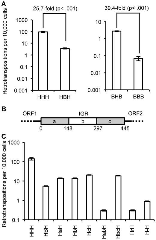 Effect of IGR on retrotransposition rate.