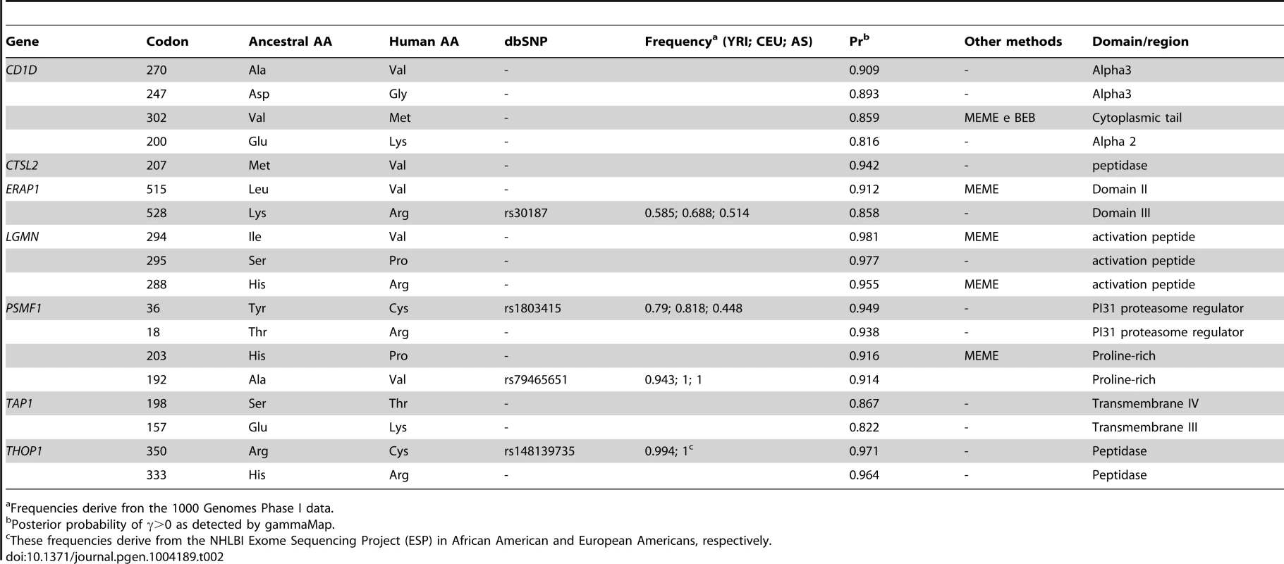Positively selected sites in the human lineage.