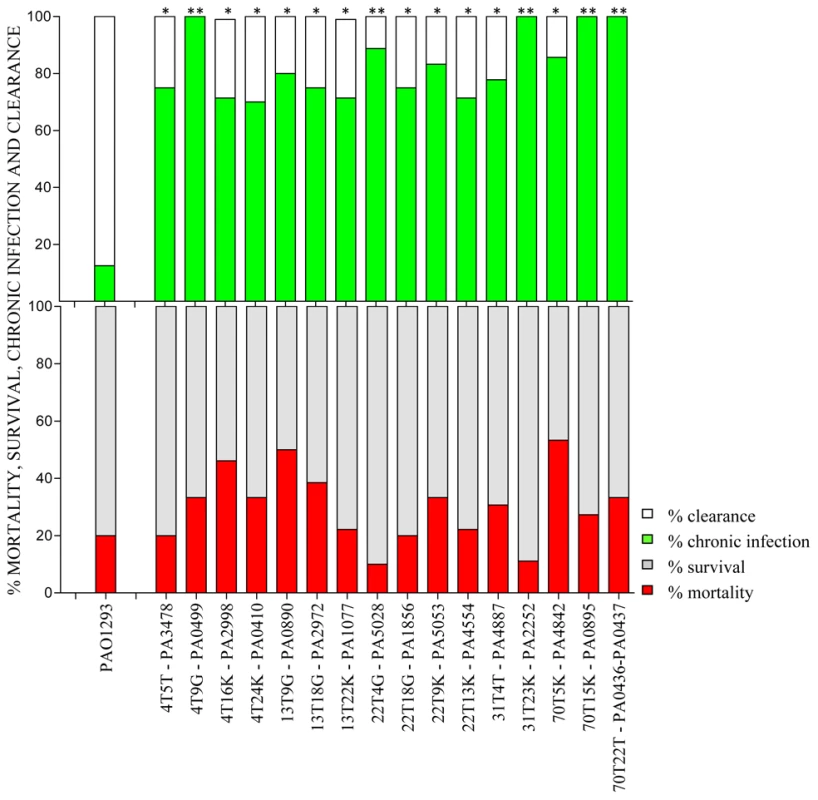 Virulence of <i>P. aeruginosa</i> Pos-STM mutants in a murine model of airways infection.