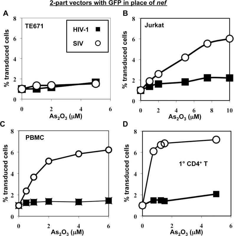 As<sub>2</sub>O<sub>3</sub> specifically increases SIV<sub>MAC</sub> infectivity in human blood cells.