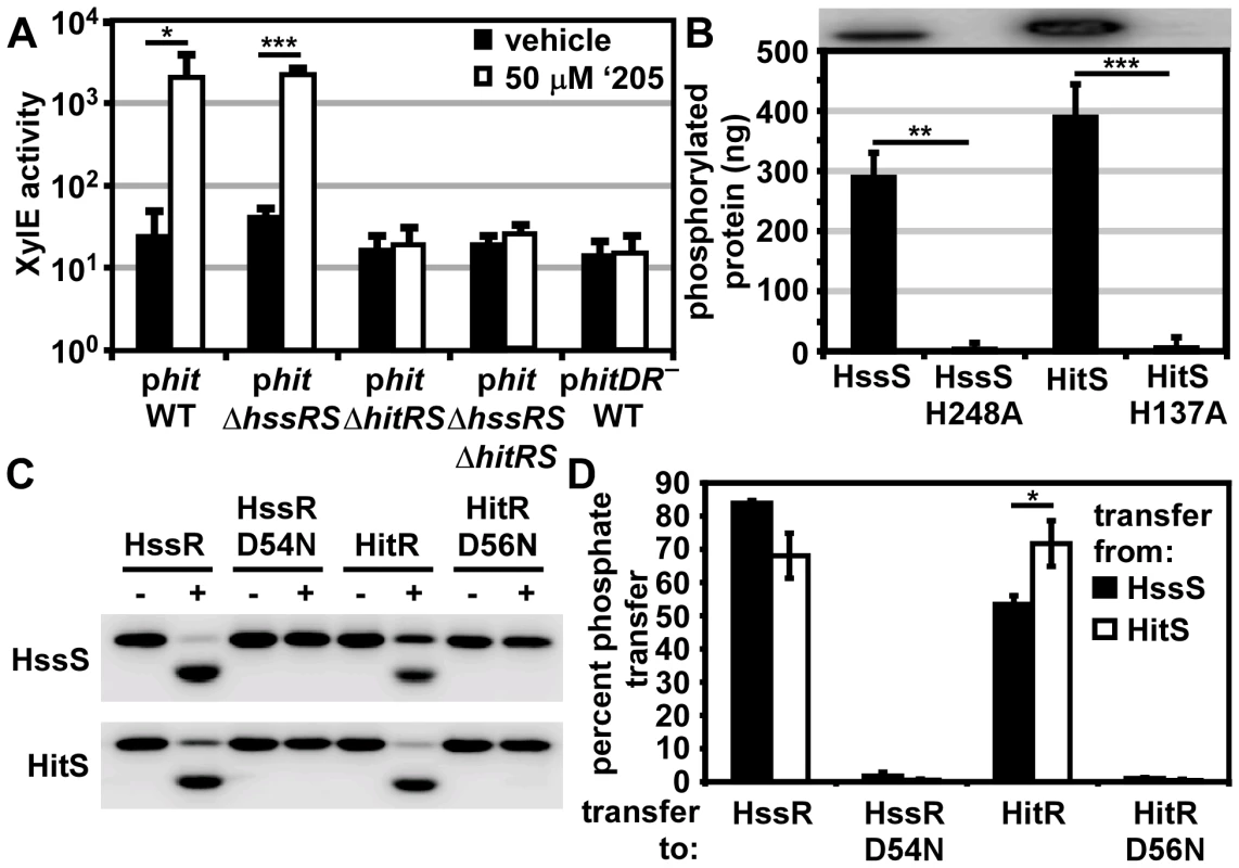 HitRS and HssRS are two-component systems that cross-phosphorylate.