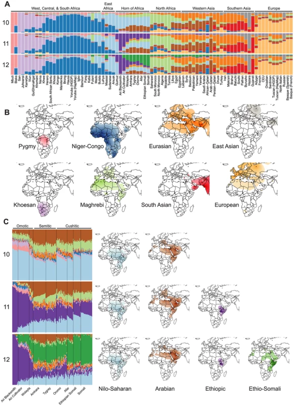 Population structure of Horn of Africa populations in a broad context.