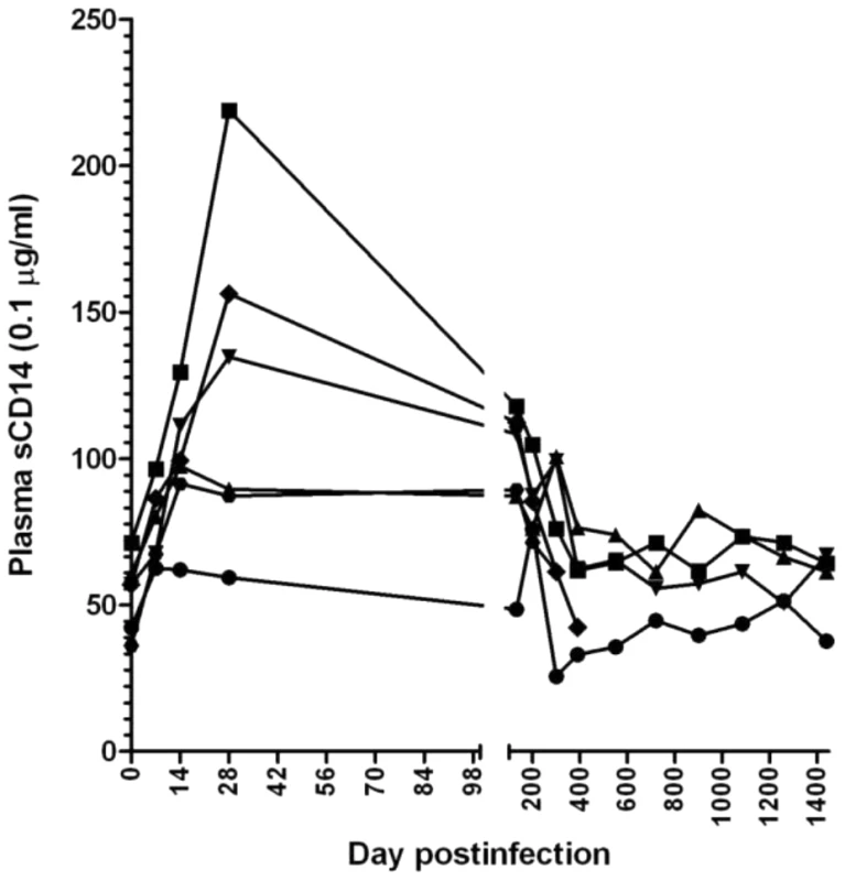 Longitudinal analysis of the microbial translocation in 5 SIVagm-infected RMs.