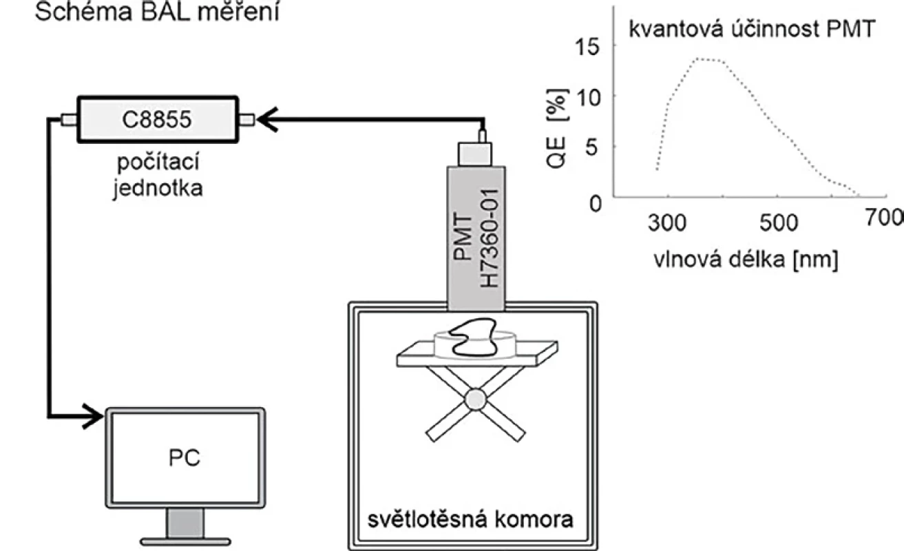 Experimentální uspořádaní měřicí aparatury BAL zubu s fotonásobičovým modulem H7360-01 a grafem jeho kvantové účinnosti. Pro vlnovou délku 300 nm je kvantová účinnost QE = 10 %, což znamená, že ze 100 fotonů dopadlých na detektor jich bylo zaznamenáno 10.