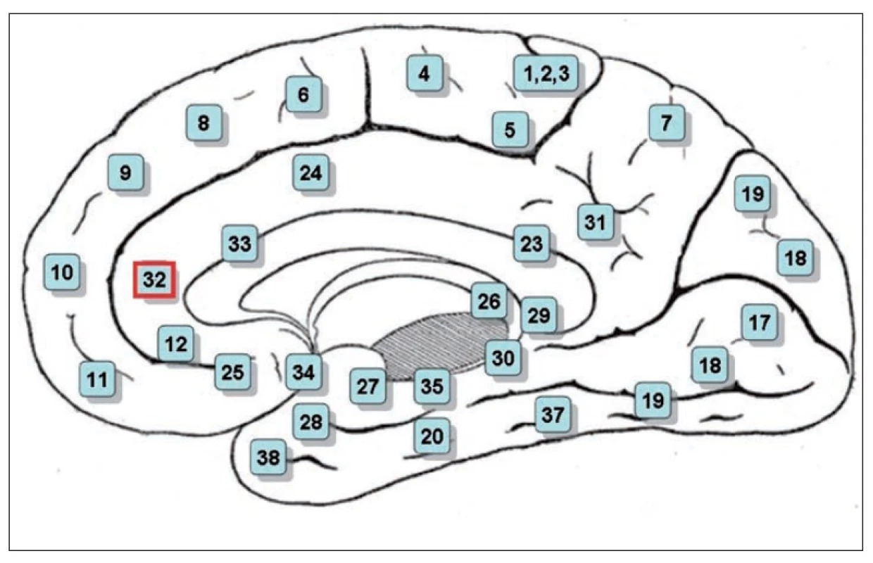 Poloha rostrální cingulární a paracingulární kůry (Brodmanova area 32).