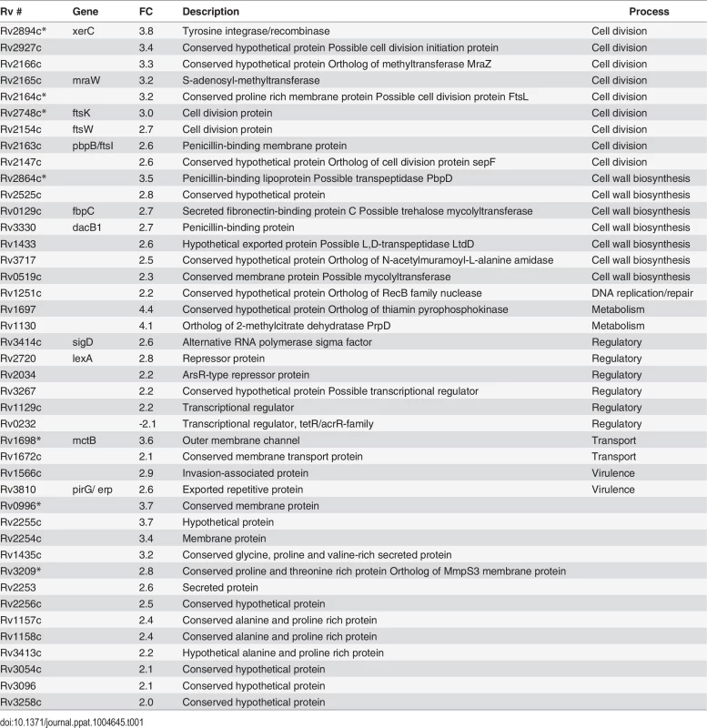 Transcriptome comparisons of wt and <i>perM</i>::tn in reduced Mg<sup>2+</sup>.