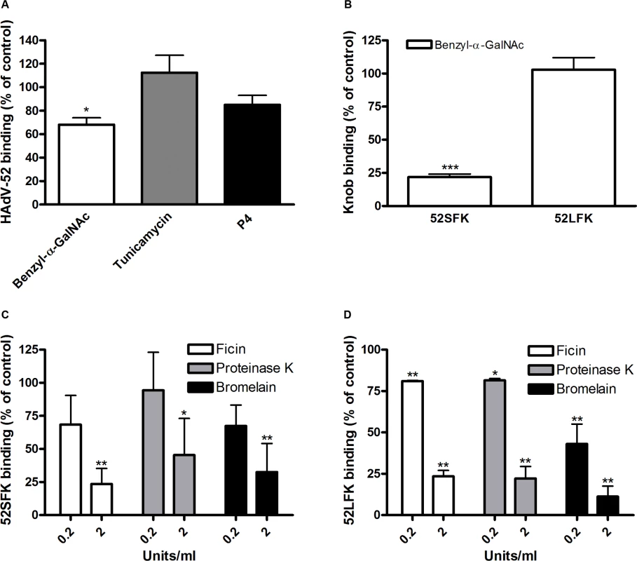 HAdV-52 short fiber knob binds to <i>O</i>-linked glycoproteins on A549 cells.