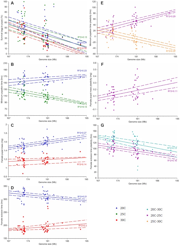 Genome size and temperature affect <i>D. melanogaster</i> development and plasticity.