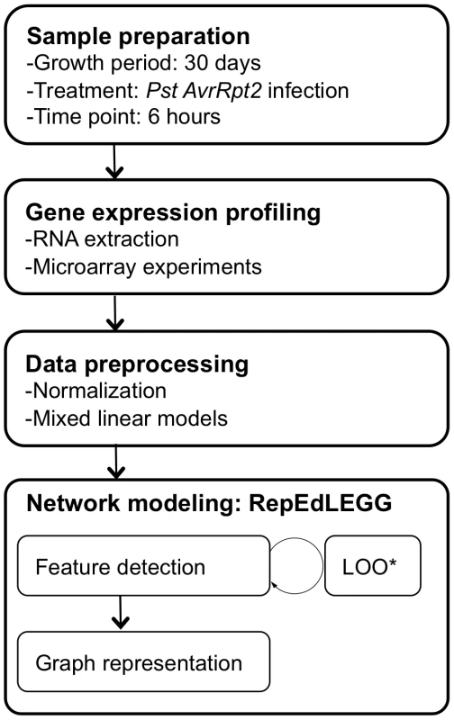 The workflow for network inference.