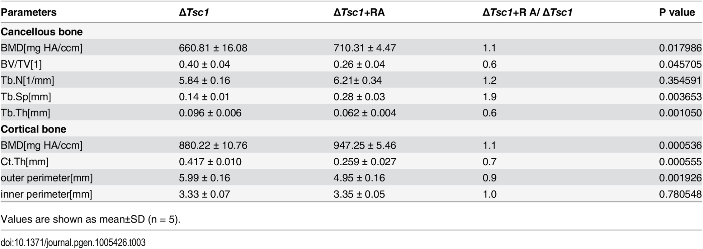 Micro CT analysis of rapamycin-treated ΔTsc1 mice at 10 weeks of age.