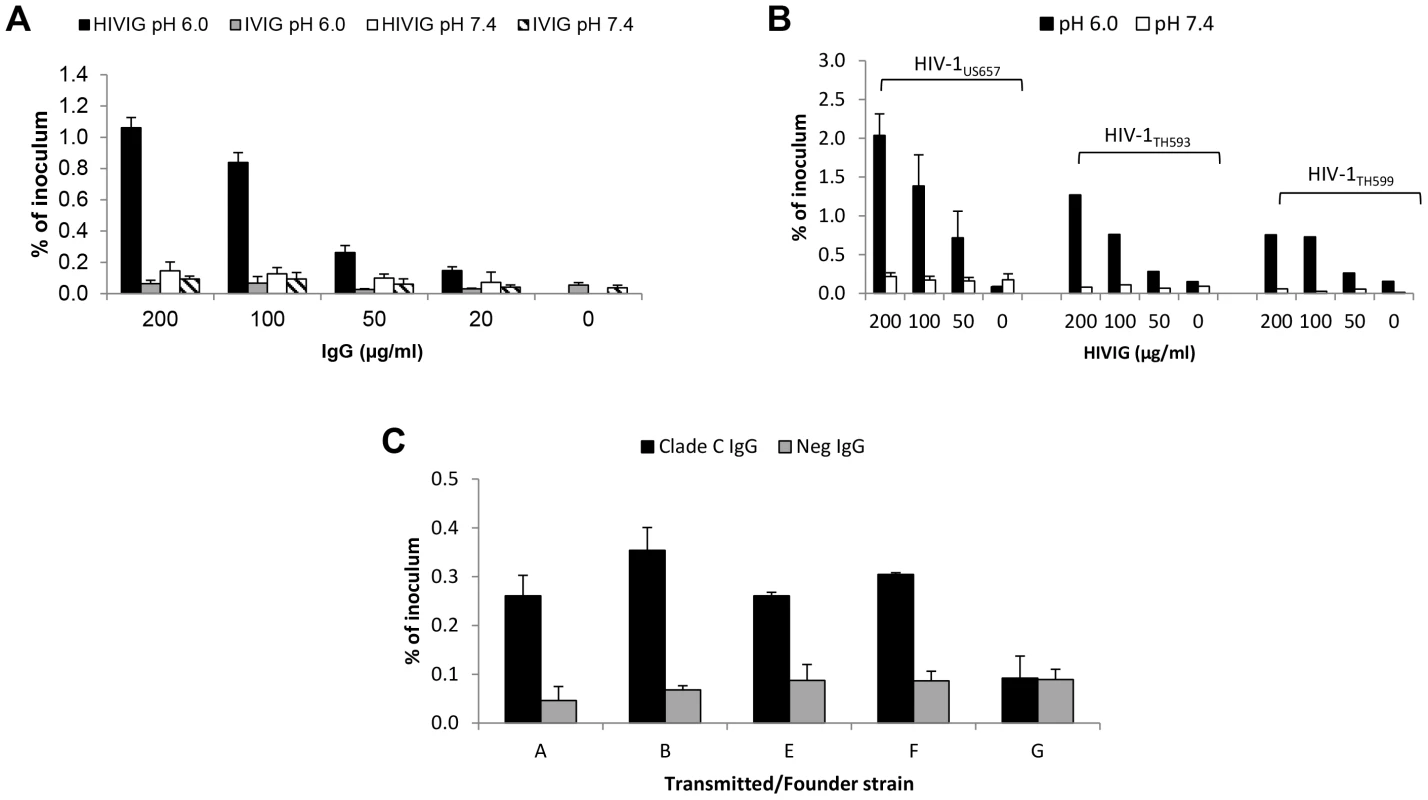 HIV-specific IgG and low pH enhance HIV-1 transcytosis.