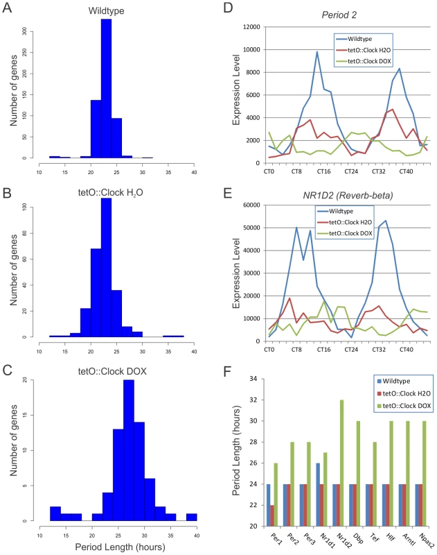 <i>Clock</i>-rescue restores ∼24-hour transcriptional rhythms.