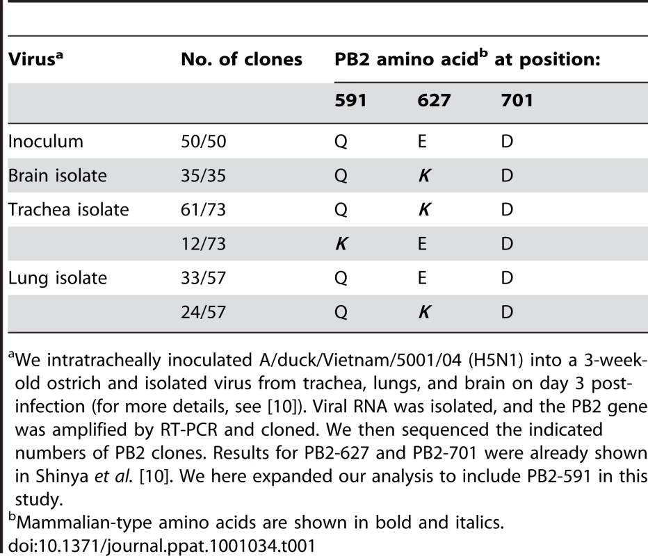 Mammalian-type amino acids in the PB2 protein of ostrich isolates.