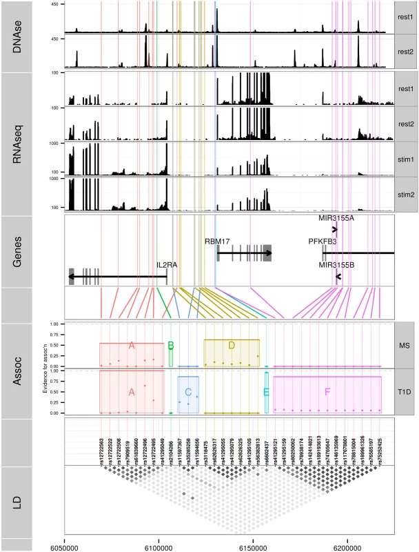 Six sets of SNPs can best explain the association of T1D and MS in the chromosome 10p15 region.
