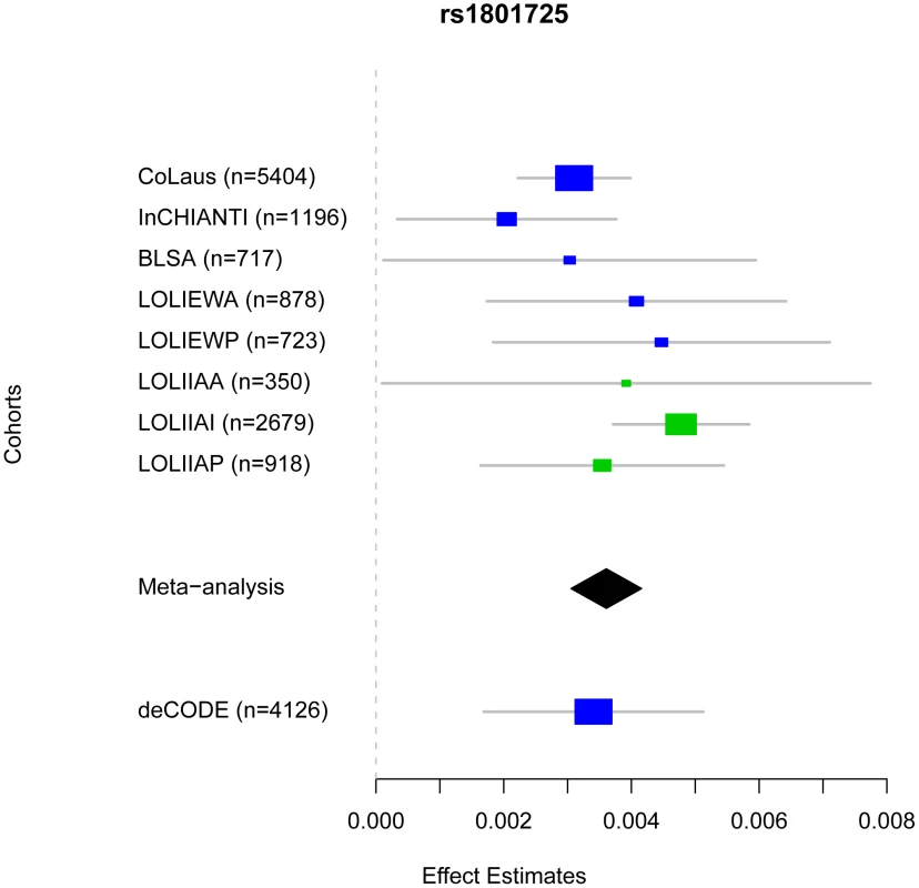Comparison of rs1801725 significance across cohorts.