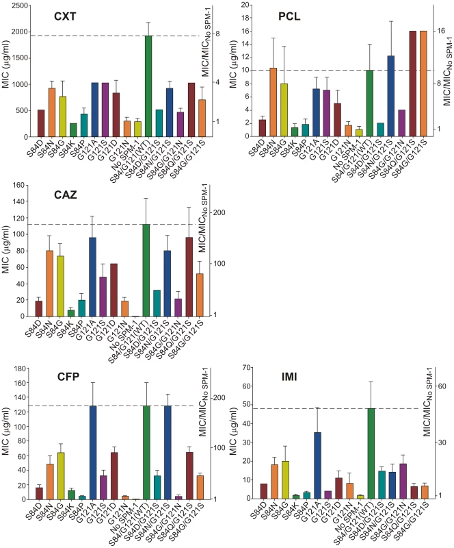 Minimum inhibitory concentration (MIC) of imipenem (IMI), piperacillin (PCL), ceftazidime (CAZ), cefoxitin (CXT) and cefepime (CFP) for selected strains of <i>P. aeruginosa</i> (producing the different SPM-1 mutants at positions 84 and 121).