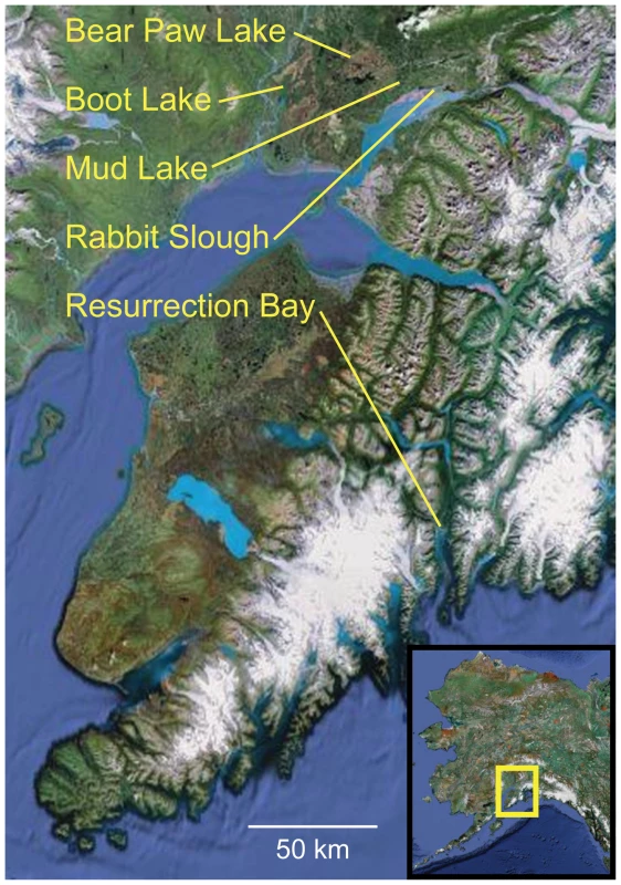 Location of oceanic and freshwater populations examined.