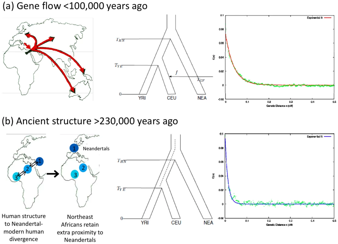 Linkage disequilibrium patterns expected due to recent gene flow and ancient structure.