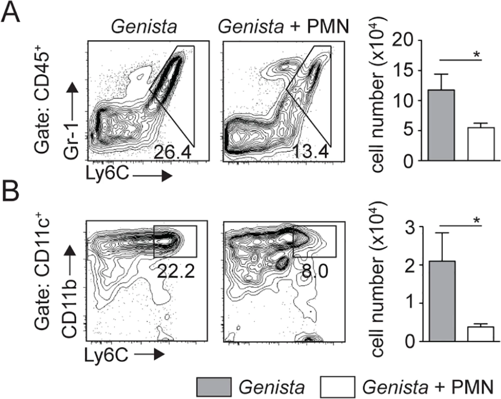 Injection of WT neutrophils in <i>Genista</i> mice reduces the otherwise observed monocyte recruitment at the site of <i>L</i>. <i>mexicana</i> inoculation.