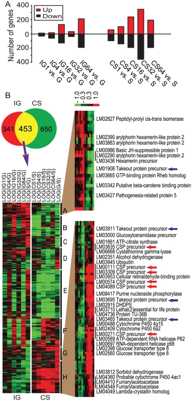 Candidate genes involved in locust phase change.