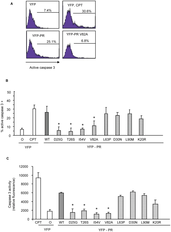 Discordance Associated Mutations (DAMs) within HIV-1PR alters the generation of caspase 3.