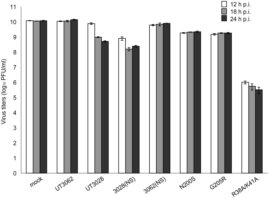 The 3062 NS gene promotes IFN antagonism.