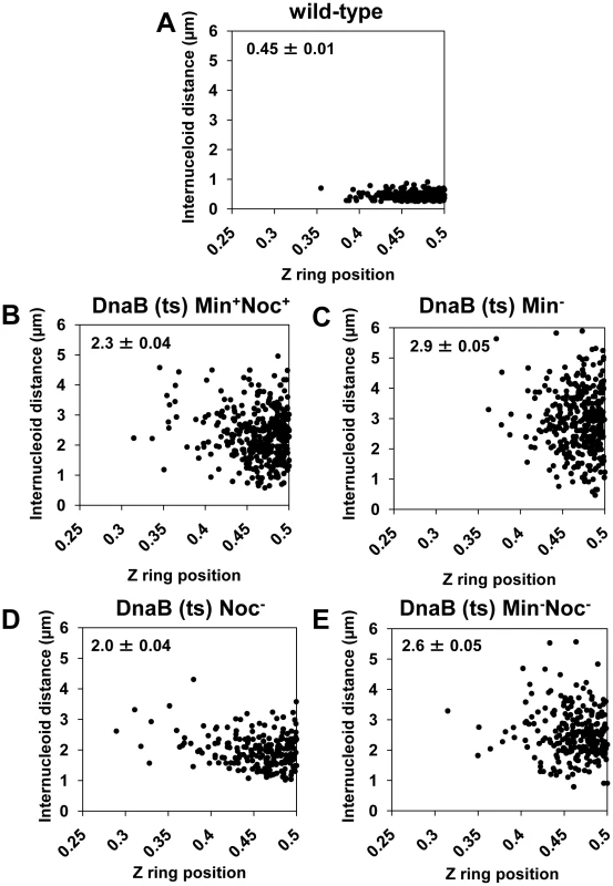 Midcell Z ring precision does not correlate with internucleoid distance.