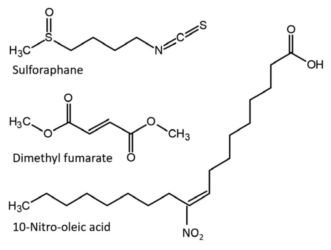 Chemické struktury tří vybraných elektrofilních sloučenin: sulforafanu, dimethylfumarátu a kyseliny 10-nitroolejové.