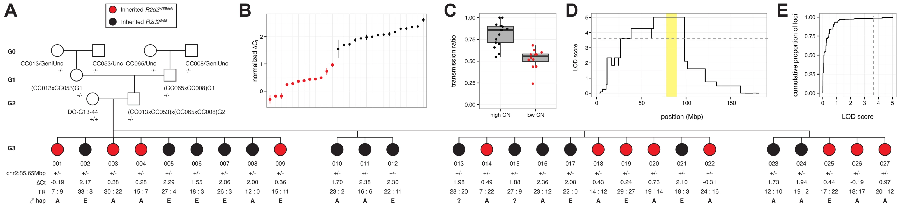 Mapping the causal locus for maternal TRD in a family segregating for a copy-number variant at <i>R2d2</i>.