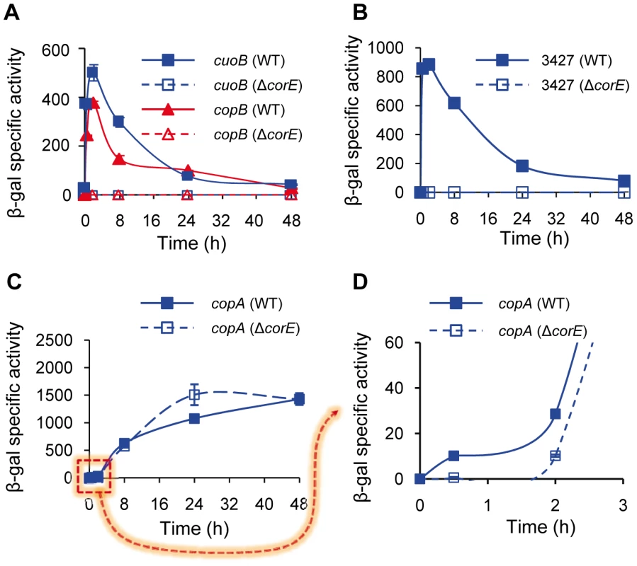 CorE-dependent genes.
