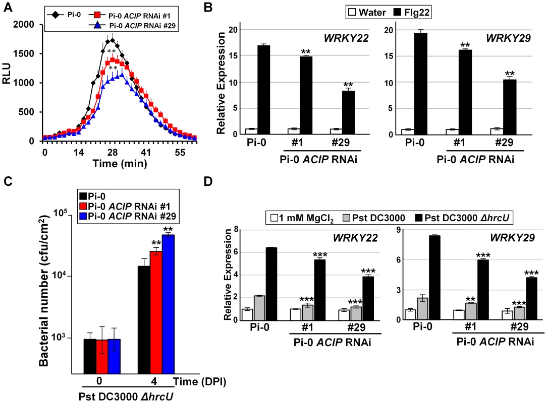 Members of <i>Arabidopsis</i> ACIP family are required for PTI.