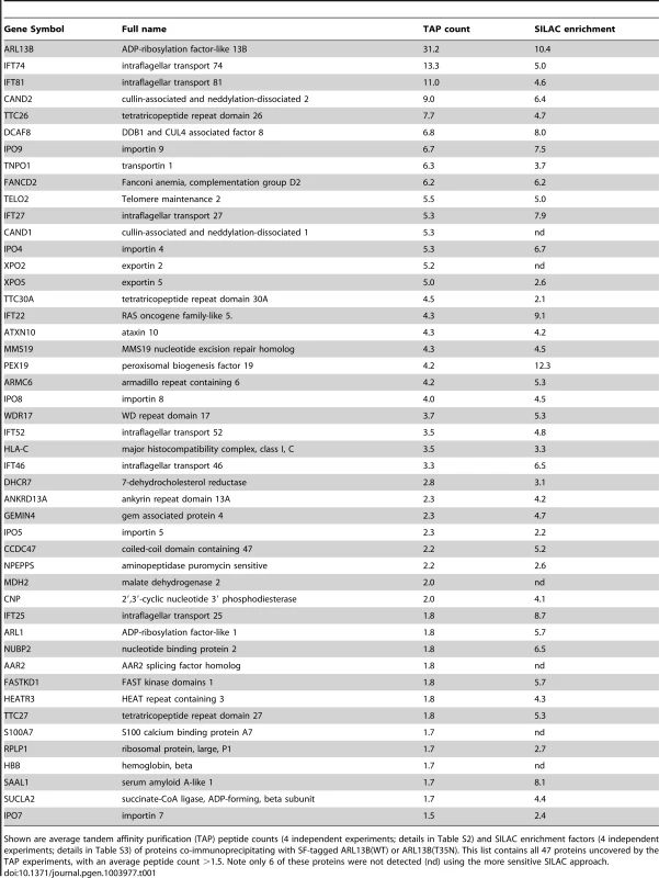 Identification of human ARL13B complex proteins.