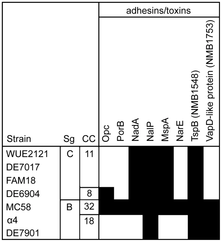 Distribution of surface and virulence-associated proteins.