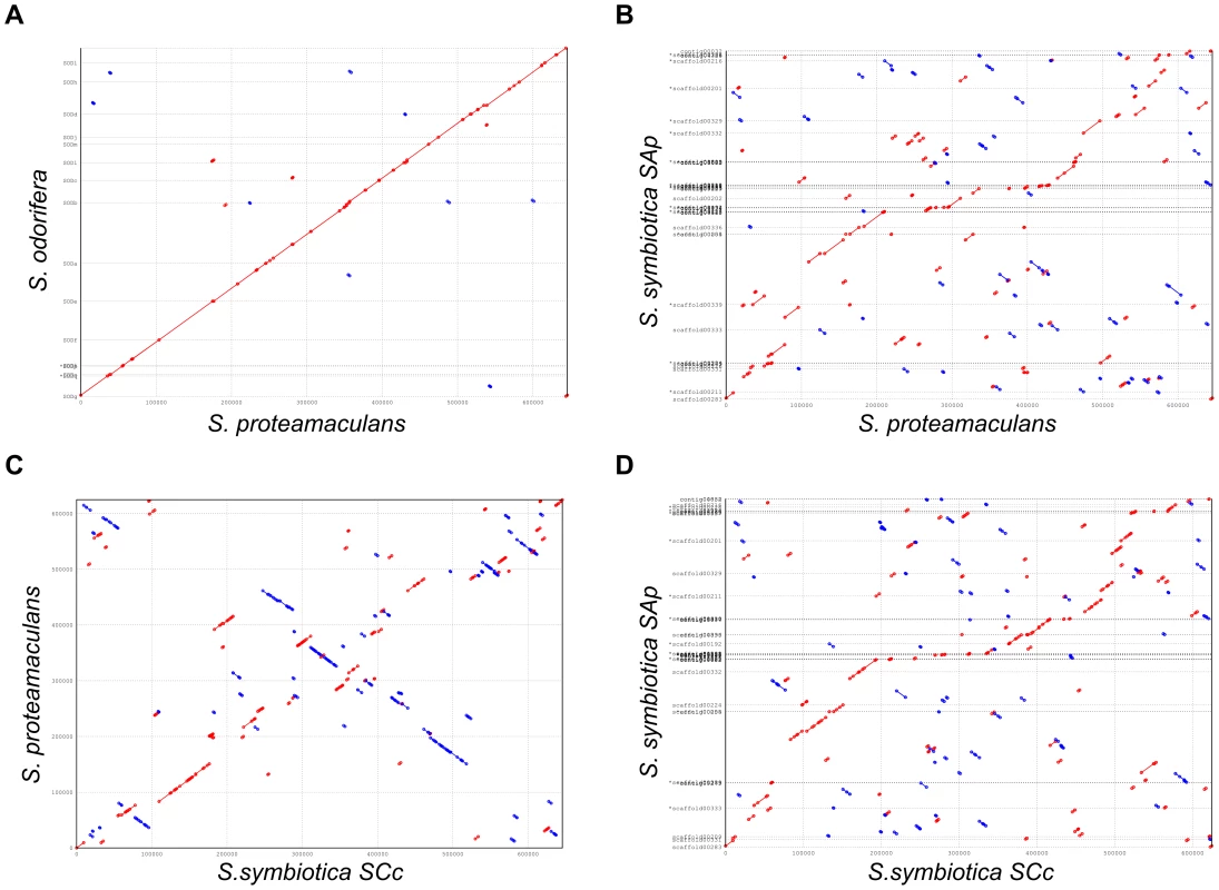 Synteny plots.