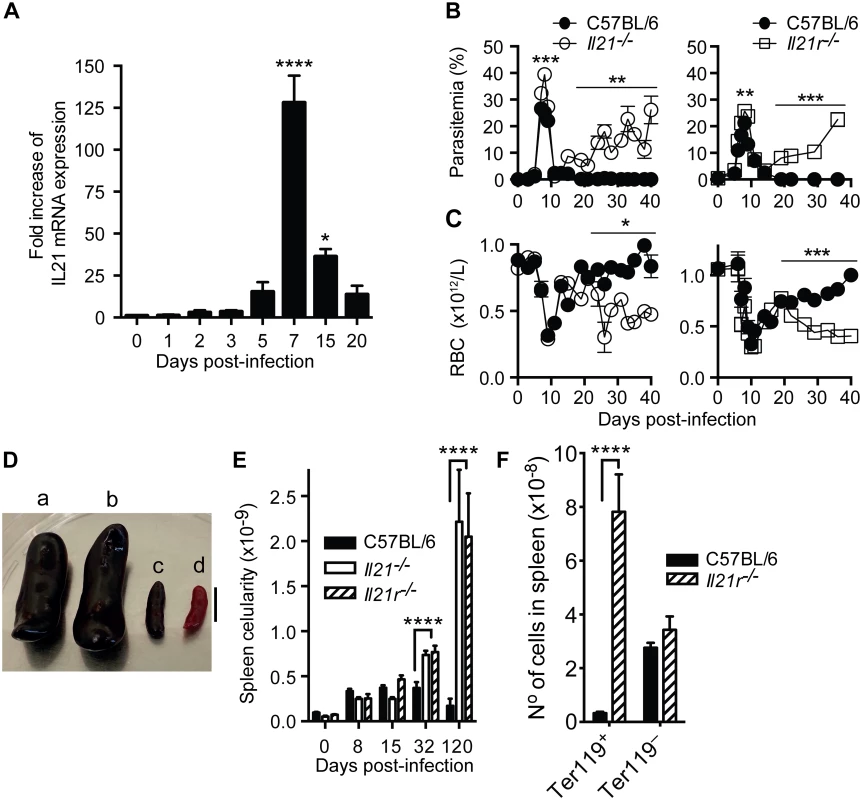 IL-21 is produced during <i>P</i>. <i>chabaudi</i> infection and required to control chronic infection.