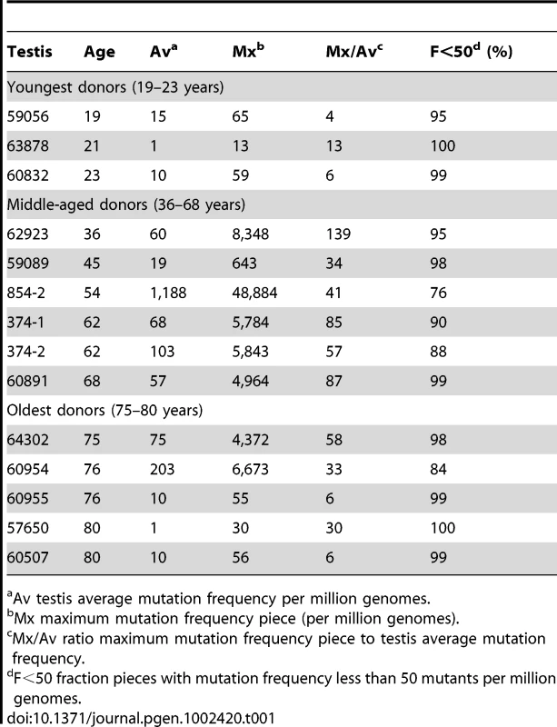 MEN2B mutation frequency summaries from 14 testes.