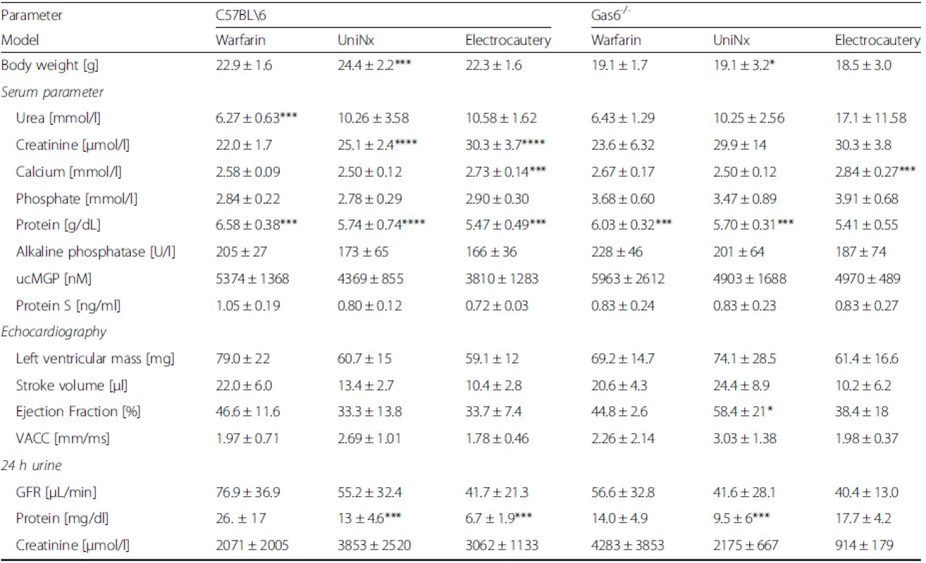 Final biochemistry and echocardiography