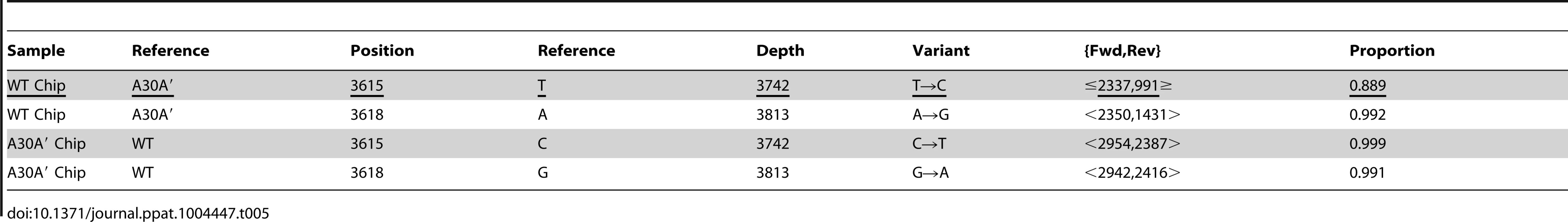 Variations at nucleotide positions 3615 and 3618 in WT and A30A′ WNV<sub>KUN</sub> virus populations.