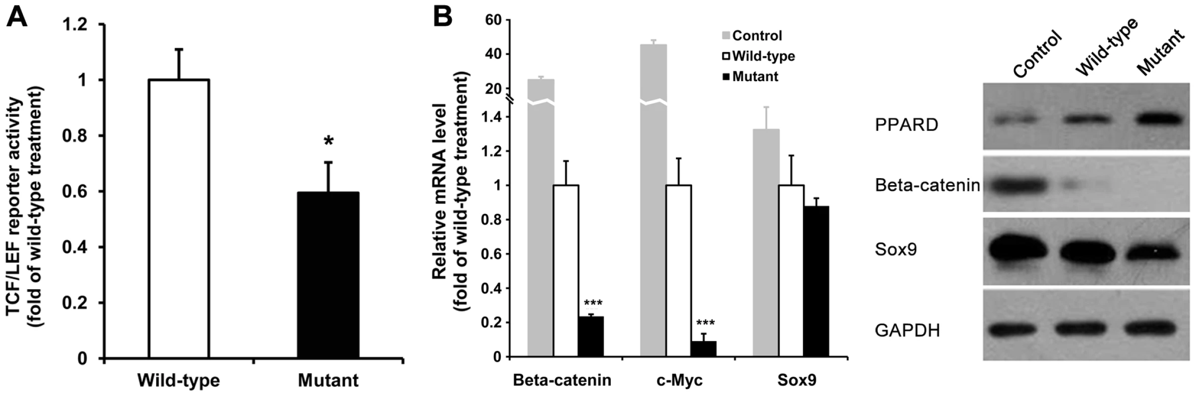 <i>PPARD</i> G32E mediates down-regulation of critical genes in the Wnt/<i>β-catenin</i> signaling pathway.