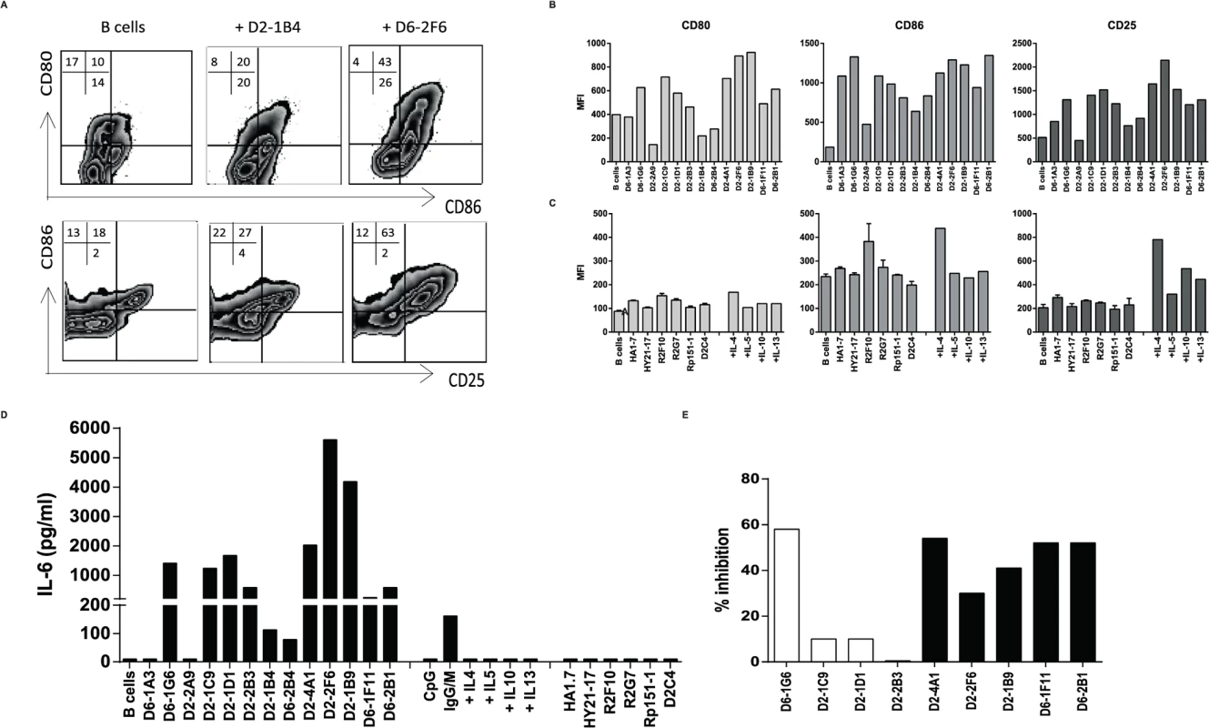 HLA-E restricted Mtb specific T-cell clones utilize IL-4 to provide B-cell help.